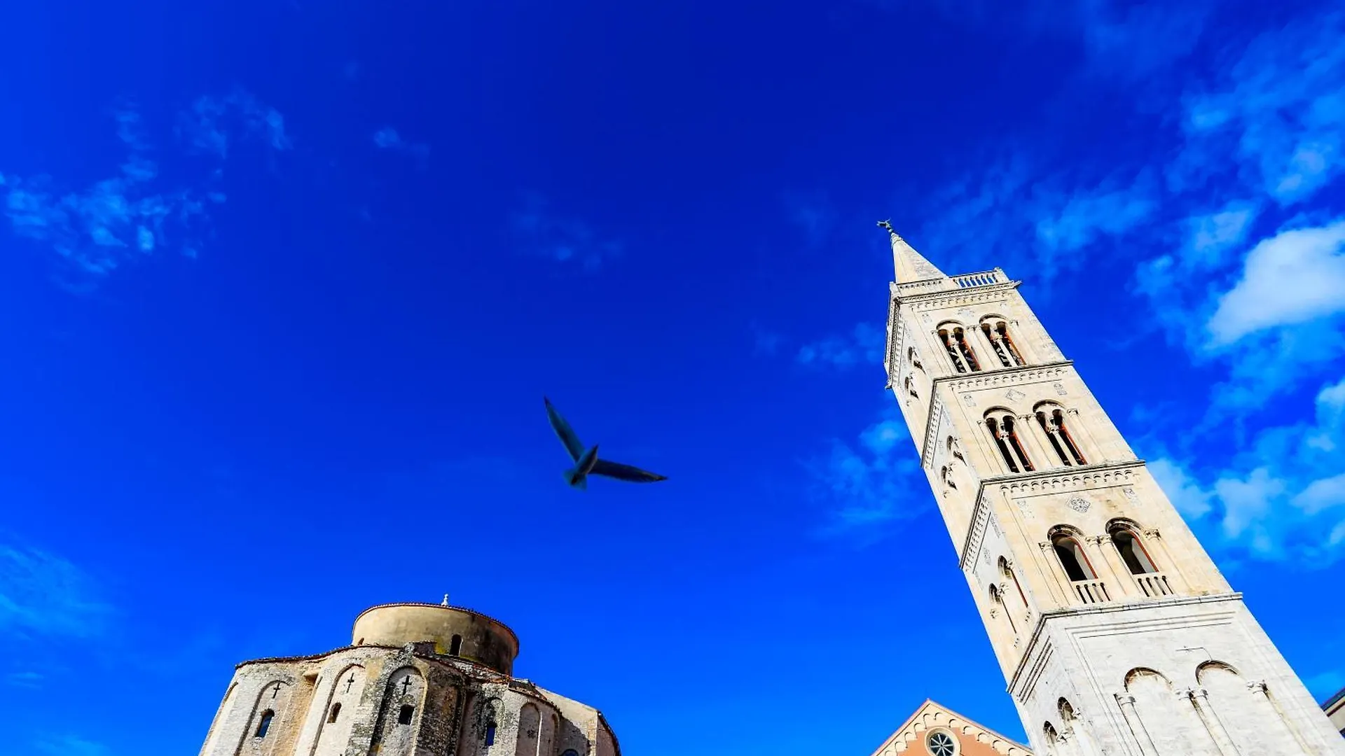 Ryanair'S Family Villa With Pool Zadar Croatia